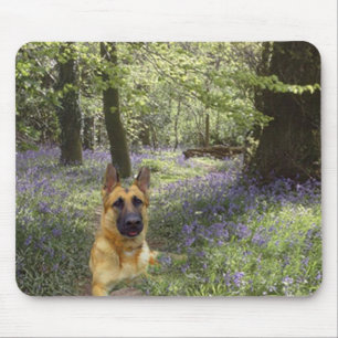 Schäferhund-Wald Mousepad