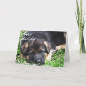 Schäferhund-Welpe - Geburtstagskarte Karte (Rückseite)