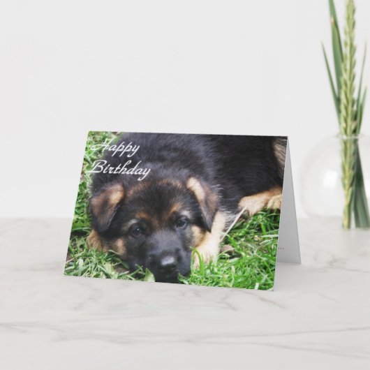 Schäferhund-Welpe - Geburtstagskarte Karte (Vorderseite)