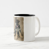 Schäferhund-Welpen-Keramik-Kaffee-Tasse Zweifarbige Tasse (VorderseiteRechts)