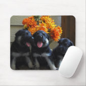 Schäferhund-Welpen Mousepad (Mit Mouse)