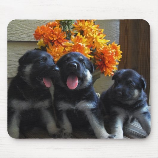 Schäferhund-Welpen Mousepad (Vorne)