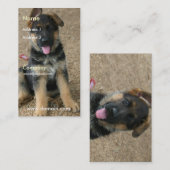 Schäferhund-Welpen-Visitenkarte Visitenkarte (Vorne/Hinten)
