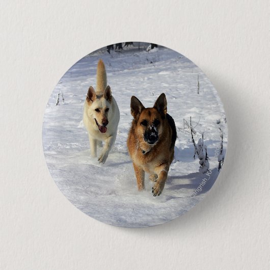 Schäferhunde, die in den Schnee laufen Button (Vorderseite)