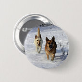 Schäferhunde, die in den Schnee laufen Button (Vorne & Hinten)