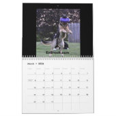 Schäferhunde in der Aktion Kalender (Mär 2026)