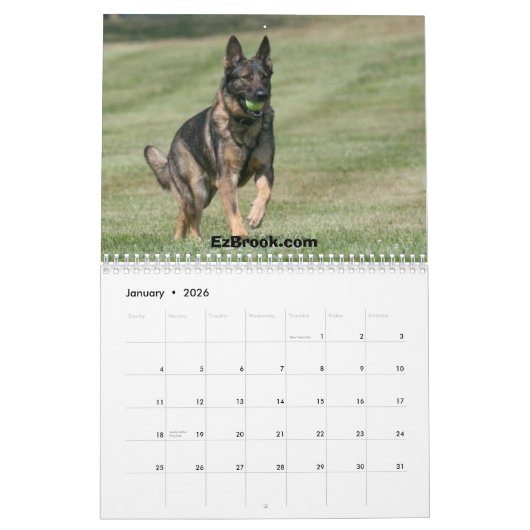 Schäferhunde in der Aktion Kalender (Jan 2026)
