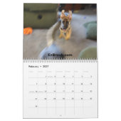 Schäferhunde in der Aktion Kalender (Feb 2027)