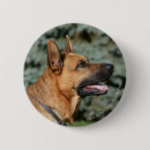 SchäferhundHeadshot 1 Button (Vorderseite)