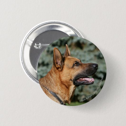 SchäferhundHeadshot 1 Button (Vorne & Hinten)