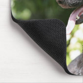 SchäferhundHeadshot 2 Mousepad (Ecke)