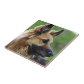 SchäferhundHeadshot Fliese (Seite)