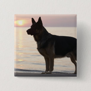 Schäferhundhund auf georgischer Bucht, Ontario, Button