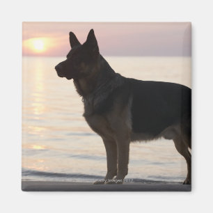 Schäferhundhund auf georgischer Bucht, Ontario, Magnet