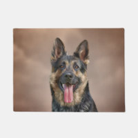 Schäferhundhund