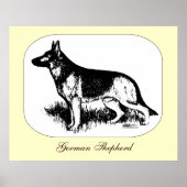 Schäferprofil Poster (Vorne)