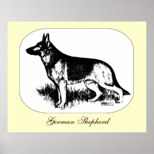 Schäferprofil Poster