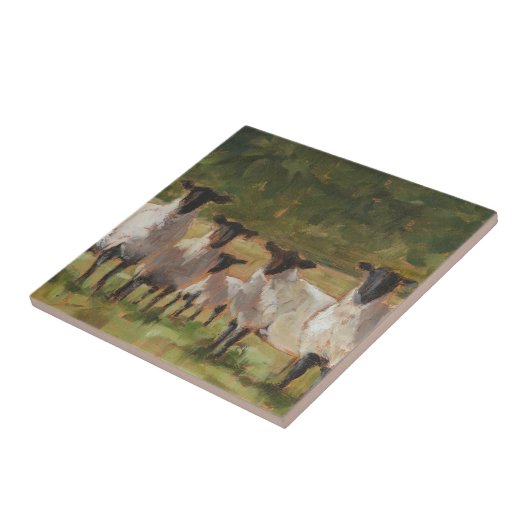 Schaffamilie Fliese (Seite)