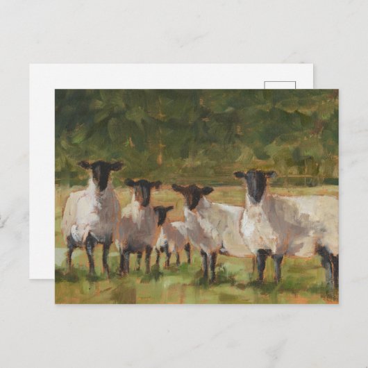 Schaffamilie Postkarte (Vorne/Hinten)