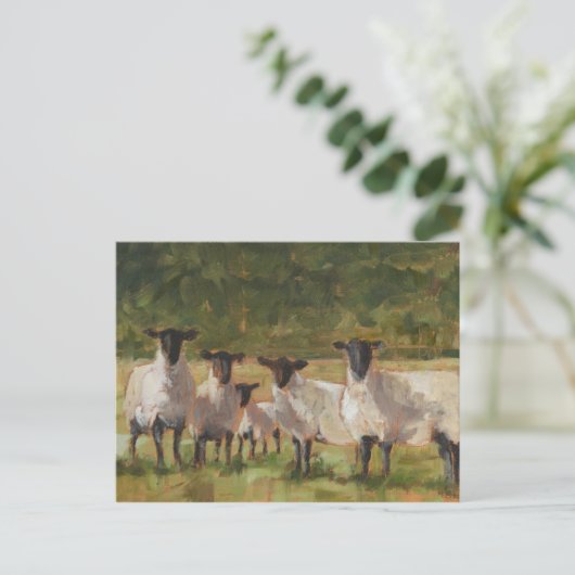 Schaffamilie Postkarte (Stehend Vorderseite)