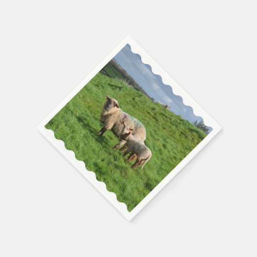 Schaffamilie Serviette (Ecke)