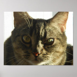 Schaffen Sie Ihr eigenes 11" x 8,5" Plakat