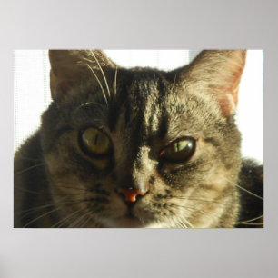 Schaffen Sie Ihr eigenes 28" x 20" Plakat