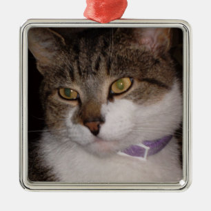 Schaffen Sie Ihre eigene Foto Silbernes Ornament