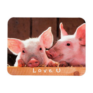 Schaffen Sie Ihre eigene lustige Foto-Liebe Sie Magnet