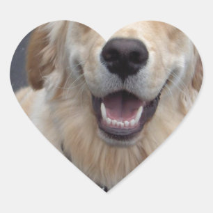 Schaffen Sie Ihre eigenen Ausdrücke!  Herz-Aufkleber