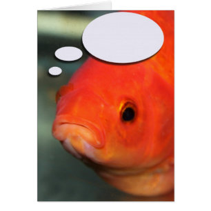 Schaffen Sie Ihren eigenen Titel, Goldfisch