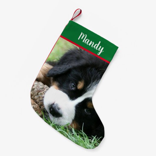 Schaffen Sie sich Ihre eigenen Foto-Hundeschlitten Kleiner Weihnachtsstrumpf (Vorderansicht (hängend))