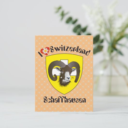 Schaffhausen Schweiz Postkarte (Stehend Vorderseite)