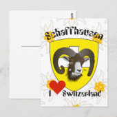Schaffhausen Schweiz Postkarte (Vorne/Hinten)