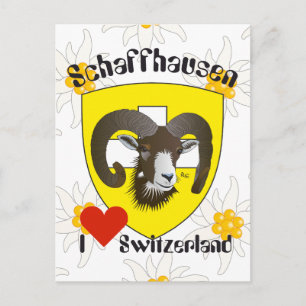 Schaffhausen Schweiz Postkarte