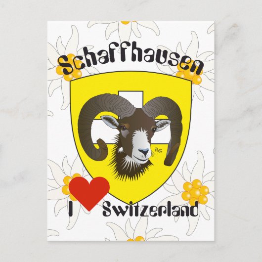 Schaffhausen Schweiz Postkarte (Vorderseite)