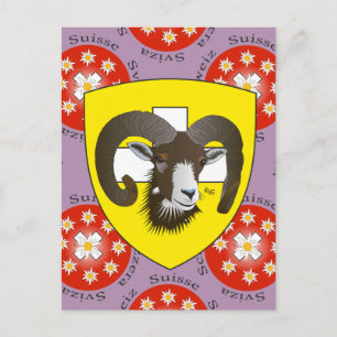 Schaffhausen Schweiz Postkarte