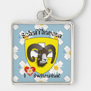 Schaffhausen Schweiz Schlüsselger Schlüsselanhänger