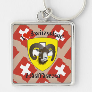 Schaffhausen Schweiz Schlüsselger Schlüsselanhänger