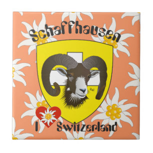 Schaffhausen - Schweiz - Suisse - Svizzera Fliese