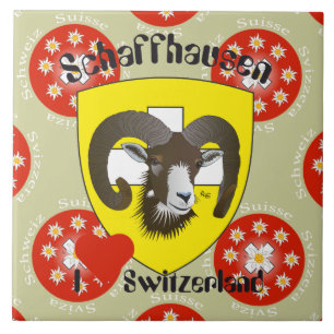 Schaffhausen - Schweiz - Suisse - Svizzera Fliese