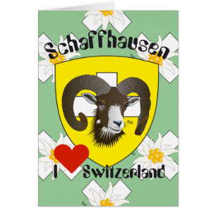 Schaffhausen Schweiz Suisse Svizzera Grusscard