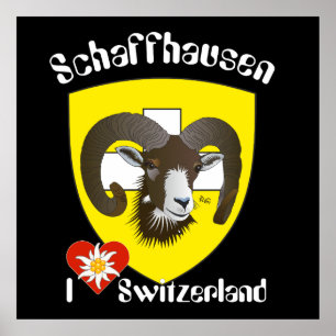 Schaffhausen - Schweiz - Suisse - Svizzera Poster