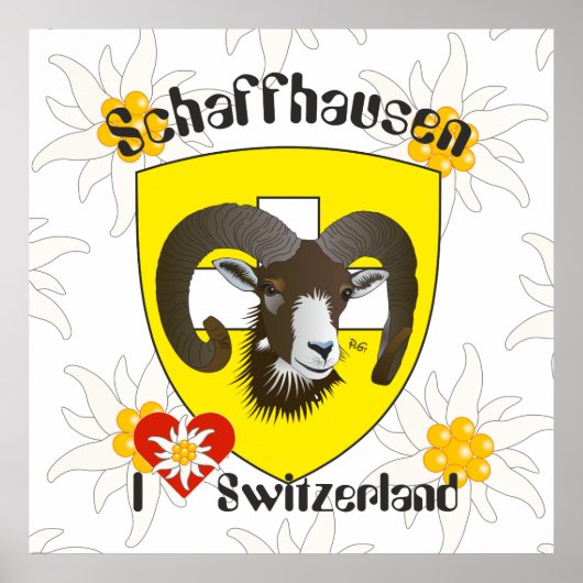 Schaffhausen - Schweiz - Suisse - Svizzera Poster (Vorne)