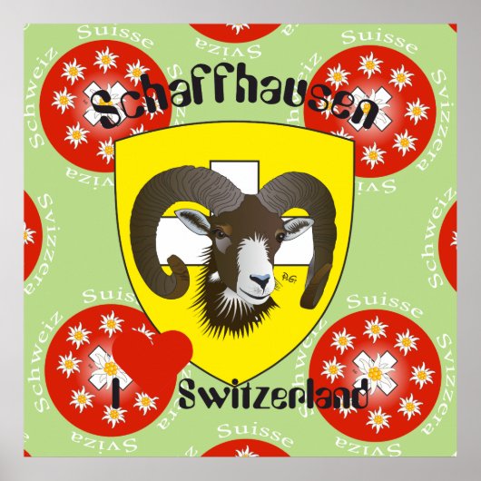 Schaffhausen - Schweiz - Suisse - Svizzera Poster (Vorne)
