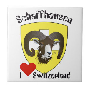 Schaffhausen Schweiz Suisse Svizzera Svizra Fliese