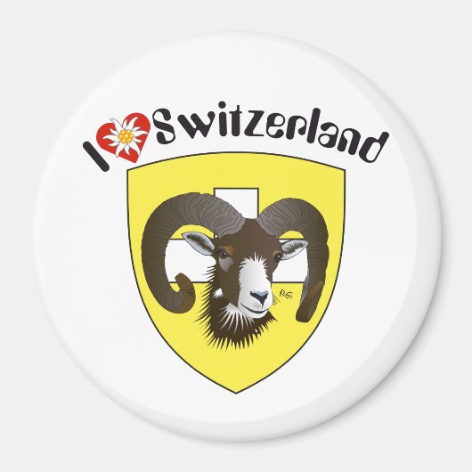 Schaffhausen Schweiz Suisse Svizzerland Magnet (Vorne)