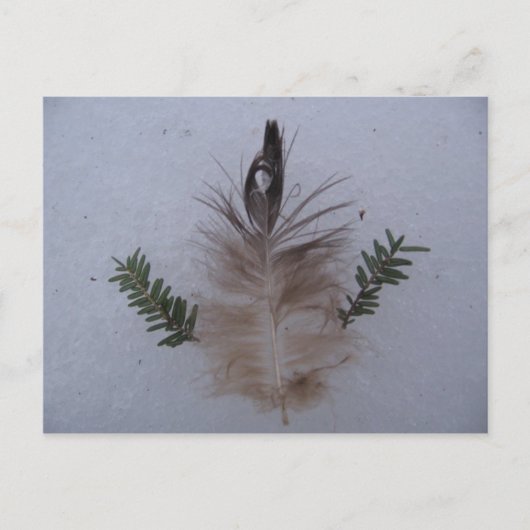 Schaffung Postkarte (Vorderseite)