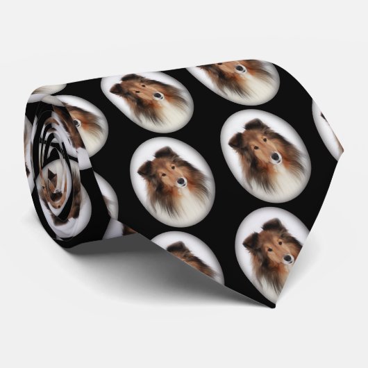 Schaffung von Shelties Krawatte (Gerollt)