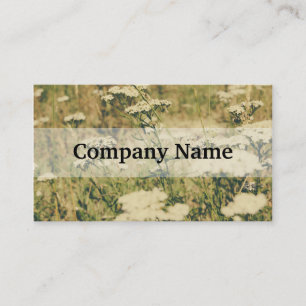 Schafgarbe-Feld, grüner Retro Filter über dem Fo Visitenkarte